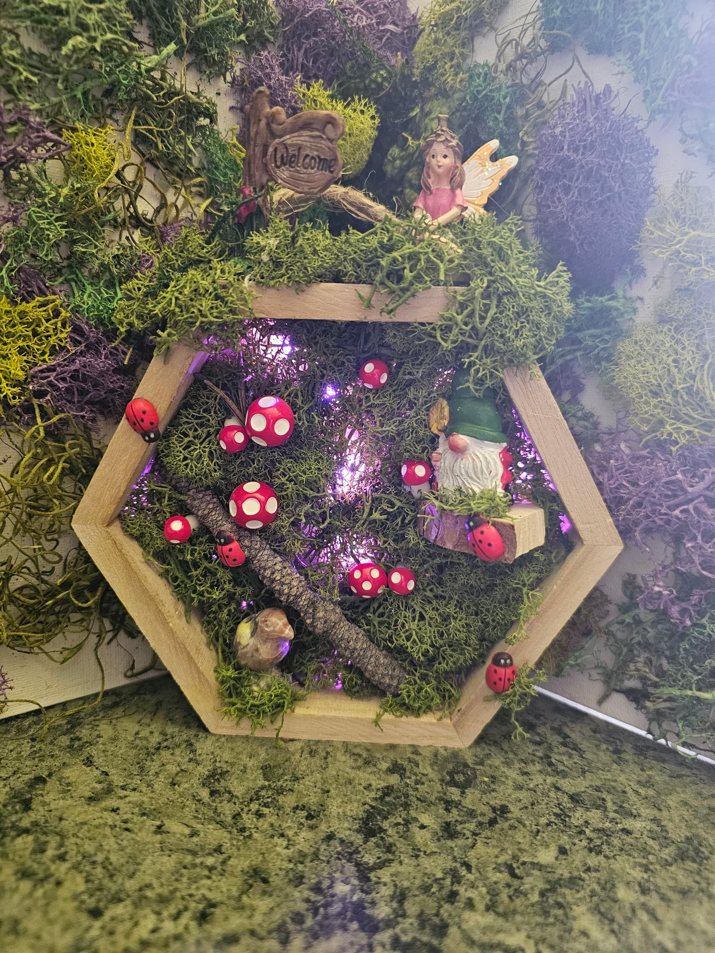 Hexagon fairy garden with lights